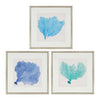 Vision Studio Sea Fan II Framed Art Set of 3