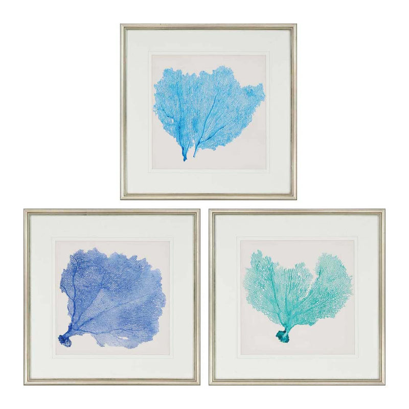 Vision Studio Sea Fan II Framed Art Set of 3