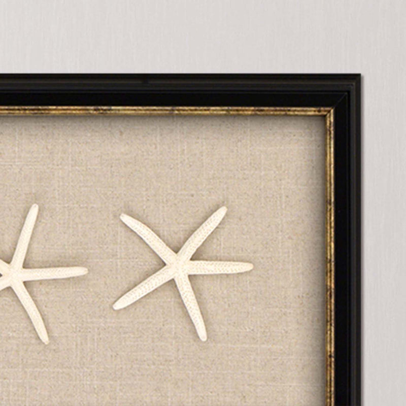 Starfish Framed Art