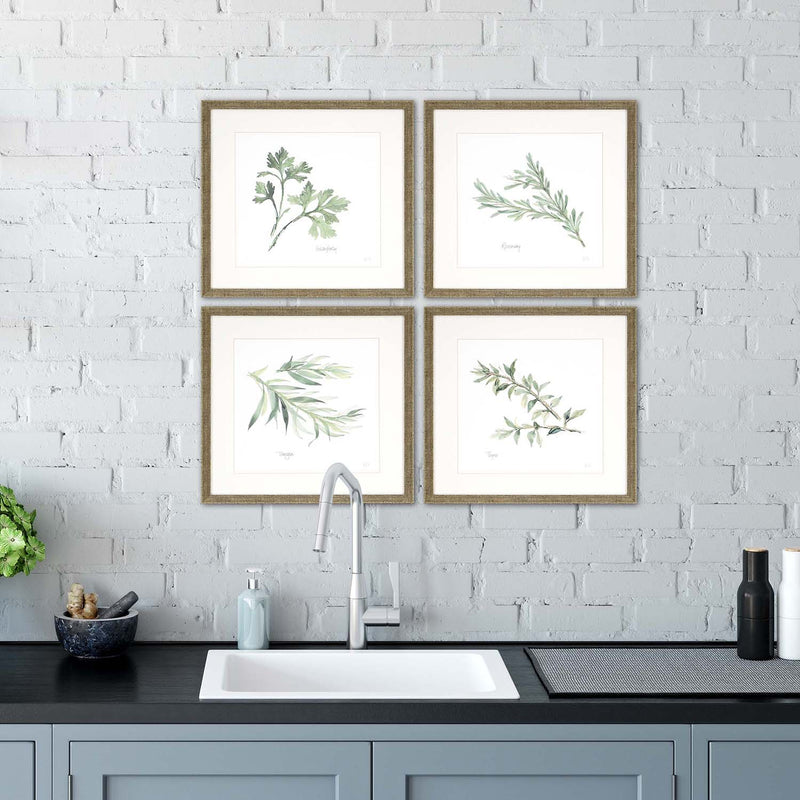 Paschke Herbs Framed Art Set of 4