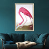 Audubon Flamingo Framed Art