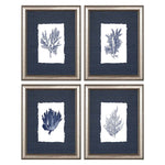 Coral Framed Art Set of 4