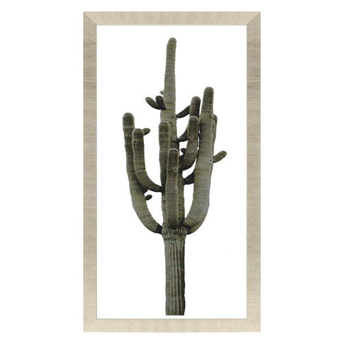 Jensen Saguaro II Framed Art