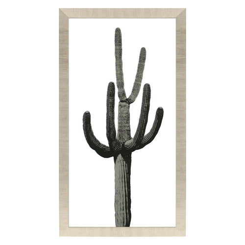 Jensen Saguaro III Framed Art