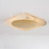 Corbett Lighting Hamel Flush Ceiling Mount