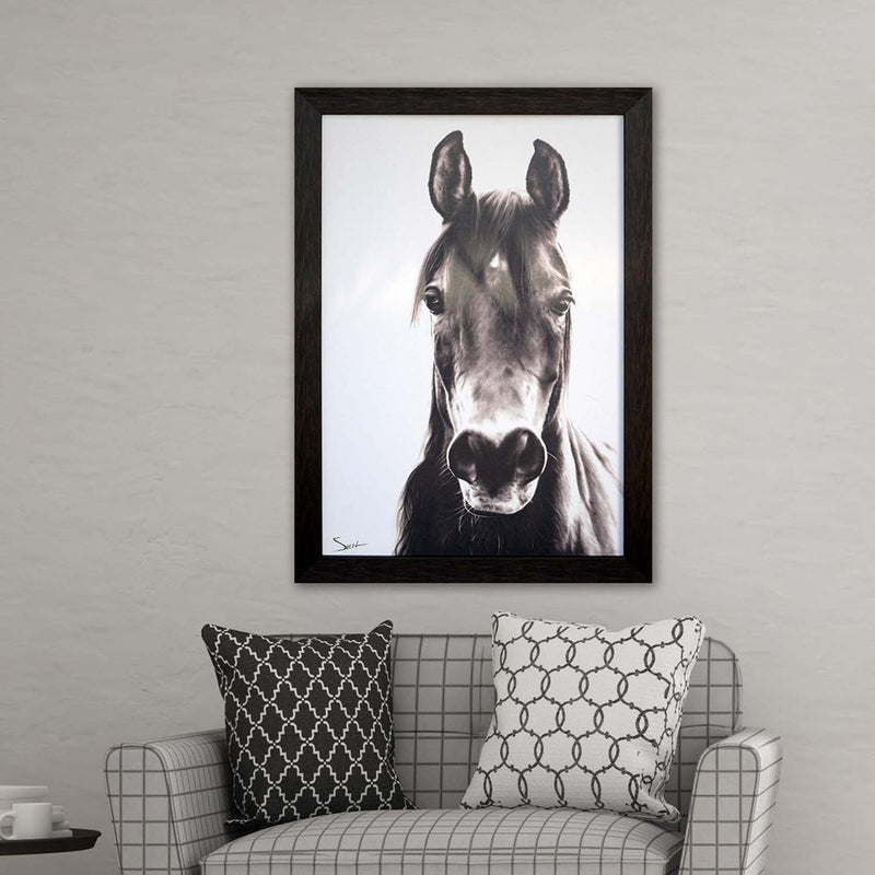 Sweet Horse Portrait Framed Art