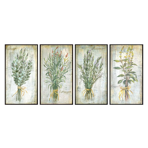 Vassileva Herbs Framed Art Set of 4