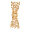 Aviva Stanoff for Currey & Co Sea Fan Wall Sconce