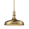 Denney Satin Brass Pendant