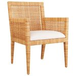 Arteriors Palmer Dining Arm Chair