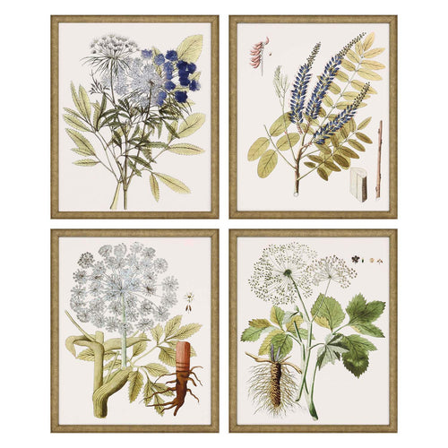 Lacy Leaves Framed Art Set of 4