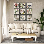 Audubon Avian Framed Art Set of 9