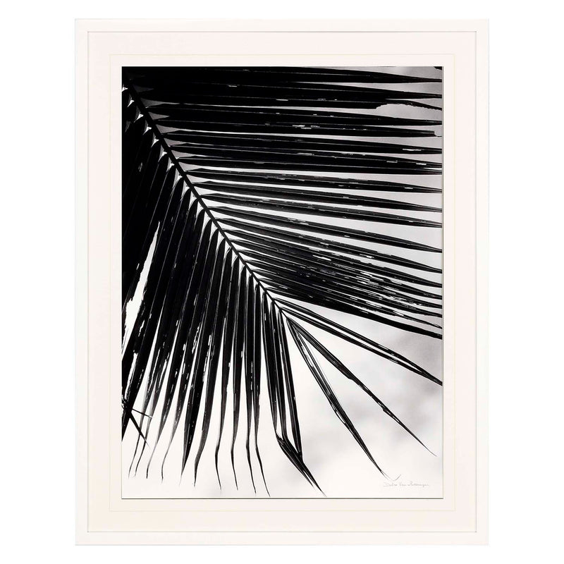 Swearingen Palm Frond II Framed Art