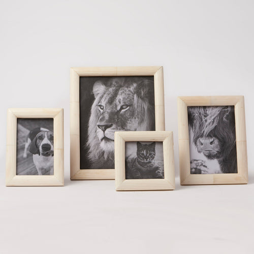 Ridge Bone Picture Frame Set of 4