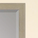 Roscoe Beveled Wall Mirror