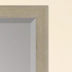 Roscoe Beveled Wall Mirror