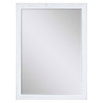 Zephyr Beveled Wall Mirror