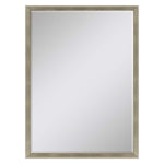 Caspian Beveled Wall Mirror