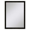 Azriel Beveled Wall Mirror