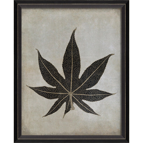 Caster Leaf Framed Print