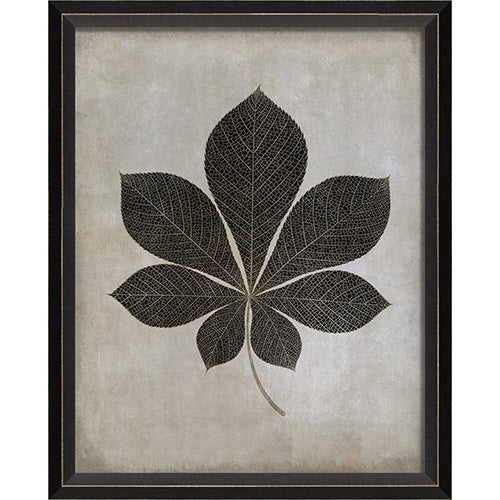 Leaf No 4 Framed Print