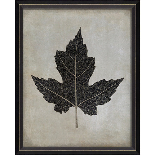 Maple Leaf Framed Print