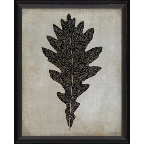 Oak Leaf Framed Print