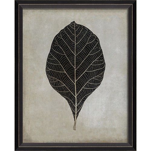 Teak Leaf Framed Print