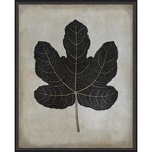 Fig Leaf Framed Print