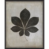 Leaf No 4 Framed Print