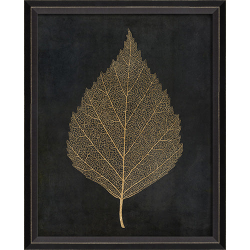 Birch Leaf Gold on Black Framed Print