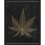 Caster Leaf Gold on Black Framed Print