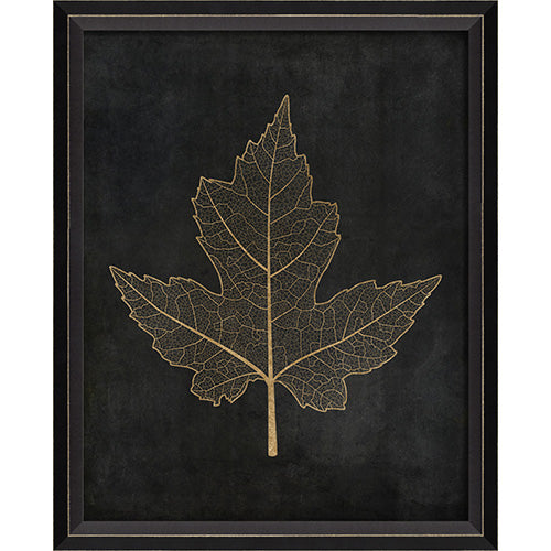 Maple Leaf No 1 Gold on Black Framed Print