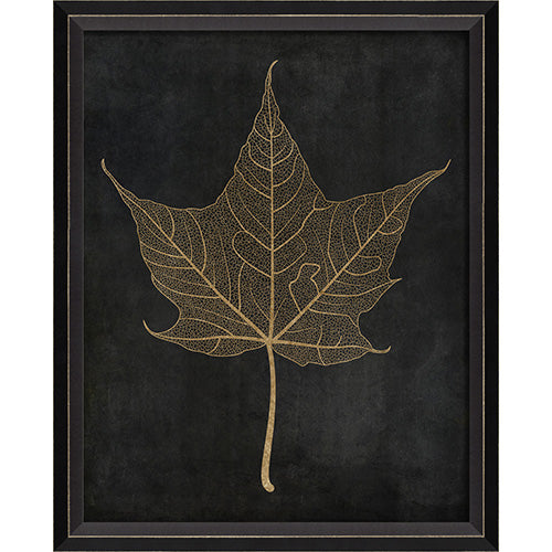 Maple Leaf No 3 Gold on Black Framed Print