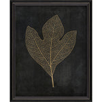 Sassafras Leaf Gold on Black Framed Print