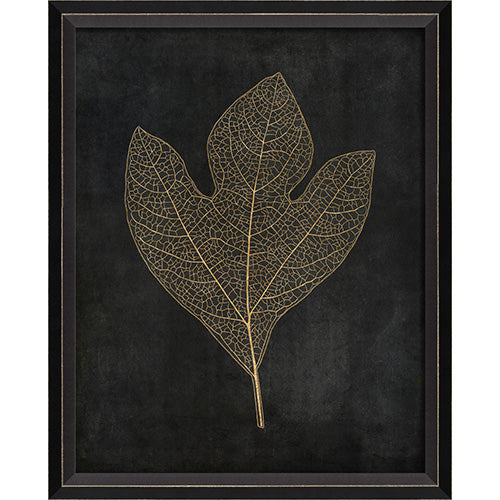 Sassafras Leaf Gold on Black Framed Print