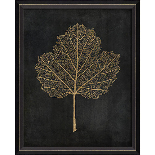 Viburnum Opulus Gold on Black Framed Print