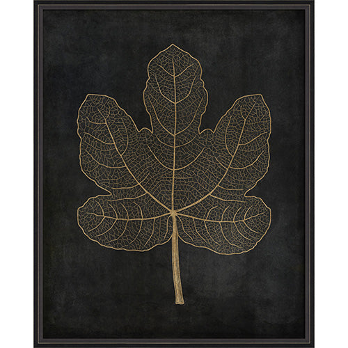 Fig Leaf Gold on Black Framed Print