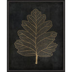 Hawthorn Leaf Gold on Black Framed Print