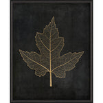 Maple Leaf No 1 Gold on Black Framed Print