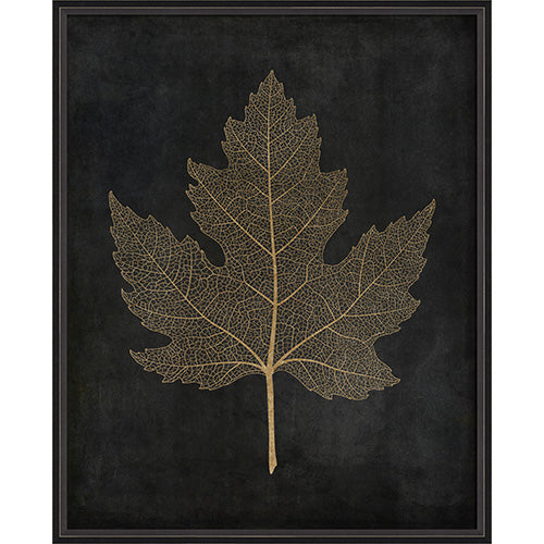 Maple Leaf No 2 Gold on Black Framed Print