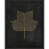 Tulip Tree Leaf Gold on Black Framed Print