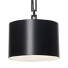 Brian Patrick Flynn For Crystorama Alston 1-Light Chandelier