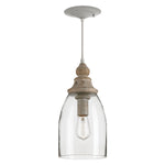 Currey & Co Anywhere Pendant