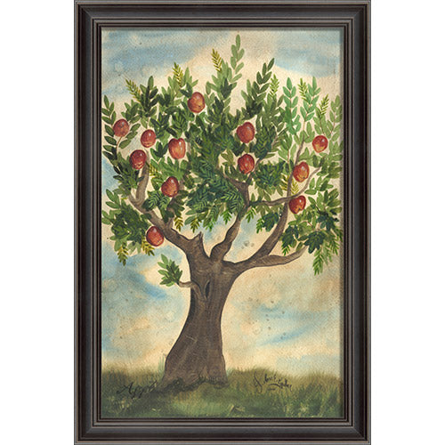 Apple Tree Framed Print