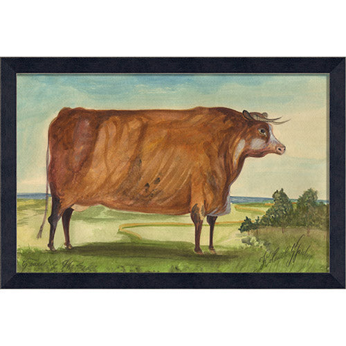 Bull Sconset by the Sea Framed Print