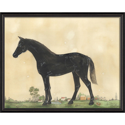 Anatomy of a Horse Framed Print