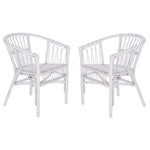 Hickey Rattan Accent Chair Set of 2