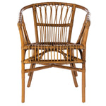 Hickey Rattan Accent Chair Set of 2