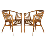 Hickey Rattan Accent Chair Set of 2